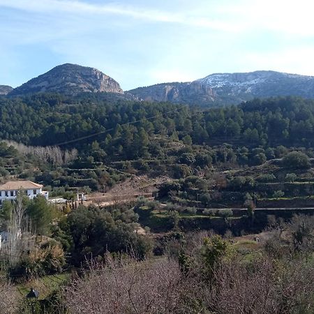 Casa Malferit Pansiyon Alcoleja Dış mekan fotoğraf