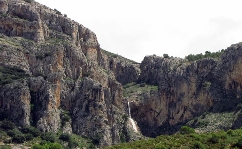 Casa Malferit Pansiyon Alcoleja Dış mekan fotoğraf