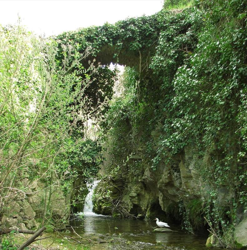 Casa Malferit Pansiyon Alcoleja Oda fotoğraf